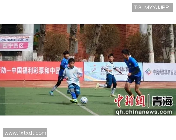 少联足球：培养青少年团队精神与竞技能力的新平台