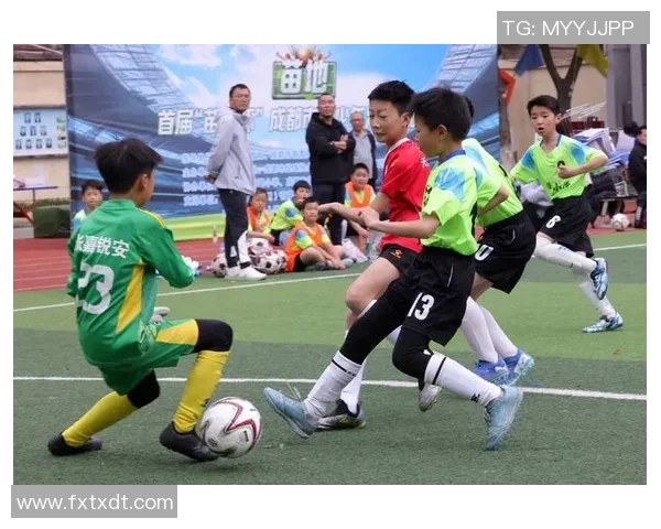 国晟足球：携手共进，打造中国足球新未来与青少年培养新模式